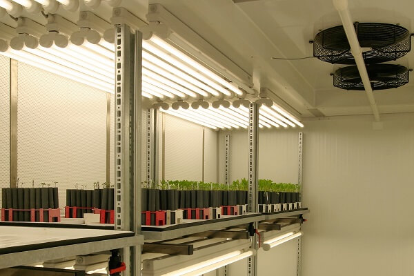 Nijssen climate room for plant growth